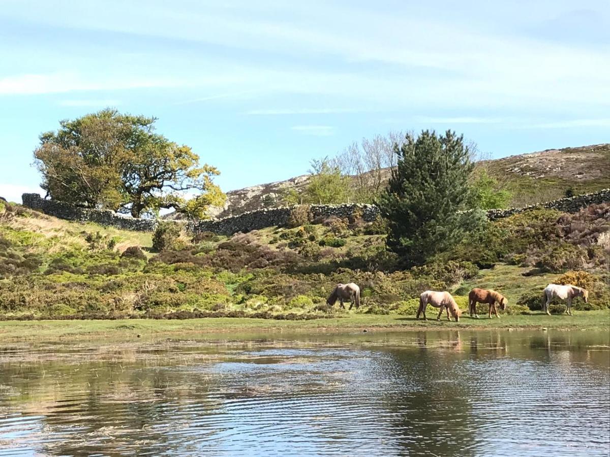 River Cottage Conwy Εξωτερικό φωτογραφία